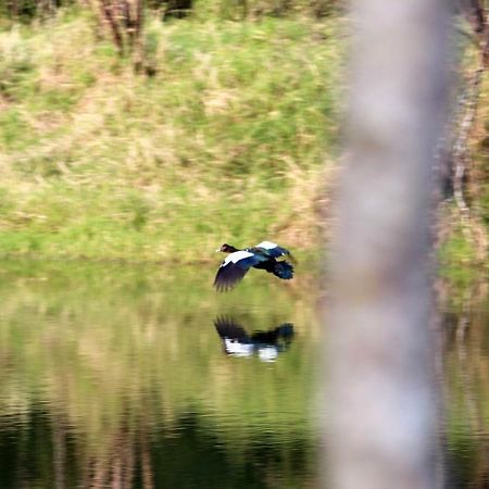 Hotel Nativa Posada & Spa La Cascara Zewnętrze zdjęcie